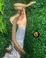 9AB59CF4-1C02-4235-B000-95DB1BAAD042.jpg