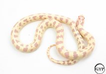 4-1.jpg