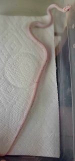20220725_181230.jpg