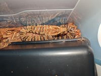 PXL_20220112_134249893.jpg