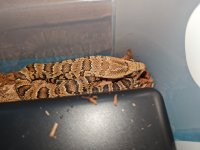 PXL_20220112_134312616.jpg