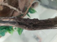 20220112_180726.jpg