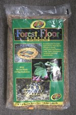 forestfloor8q.jpg