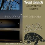 Black Dragon AD.jpg