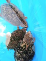 IMG_20220424_105609309~2.jpg