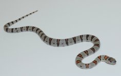 DSC_2071~2.jpg
