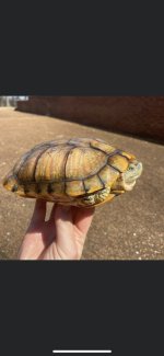 fullsizeoutput_dae.jpg