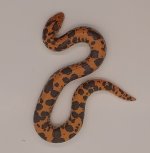 EC21-2-LB2.jpg