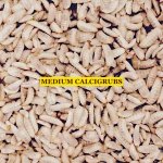 CALCI MEDIUMS.jpg