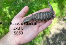 2CB69EC0-B327-4DD5-8E64-022CD74E2F38_1_201_a.jpg