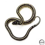 2-1.jpg