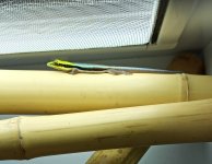 IMG_20220406_154132.jpg