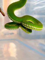 IMG_0575.jpg