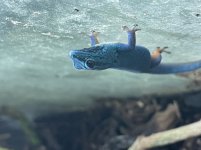 3399525E-21EA-4E08-921F-7EC9376E3824.jpg