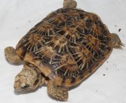 pancake 2.jpg