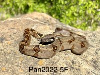 IMG_1921.jpg