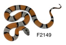 5E9C390E-D08C-45B9-A2DA-AB3D52497B4C.jpg