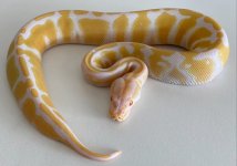 thumbnail_IMG_6360.jpg