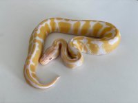 thumbnail_IMG_6356.jpg