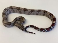 thumbnail_IMG_6339.jpg