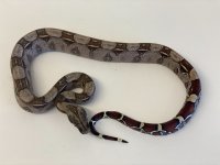 thumbnail_IMG_6340.jpg