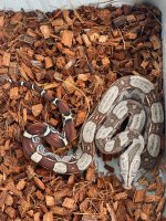thumbnail_IMG_6373.jpg