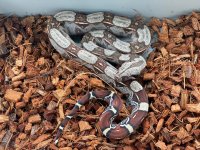 thumbnail_IMG_6374.jpg