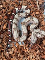 thumbnail_IMG_6370.jpg
