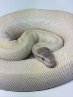 thumbnail_IMG_6304.jpg