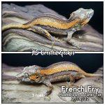 french fry 2-19-22.jpg