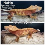 nona 2-19-22.jpg