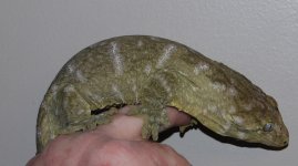 DSC_0459.jpg