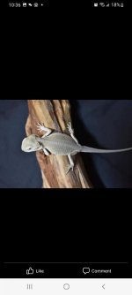 Screenshot_20220115-223627_Facebook.jpg