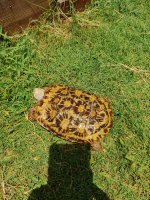 IMG_20220619_135409.jpg