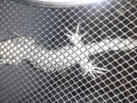 20220608_105548.jpg