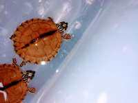 IMG_20220308_110431599.jpg