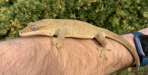 IMG_1984.jpg
