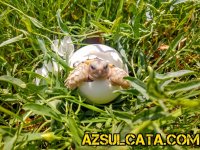 IMG_20190729_123453_197.jpg