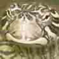 Ophidiophile