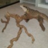 Bill