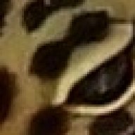 Crestedleo