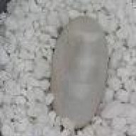 mathaldo
