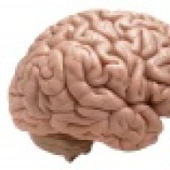 Graymatter
