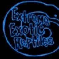ExtremeExoticReptiles