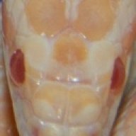 Tsuhei