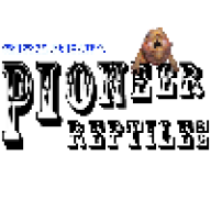 PioneerReptiles