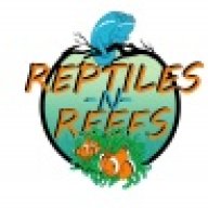 Reptiles-N-Reefs