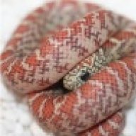 MojaveBreedingCenter LLC