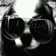 experimentlain