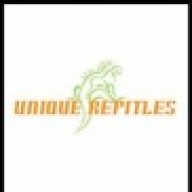 ReptileFreaks01